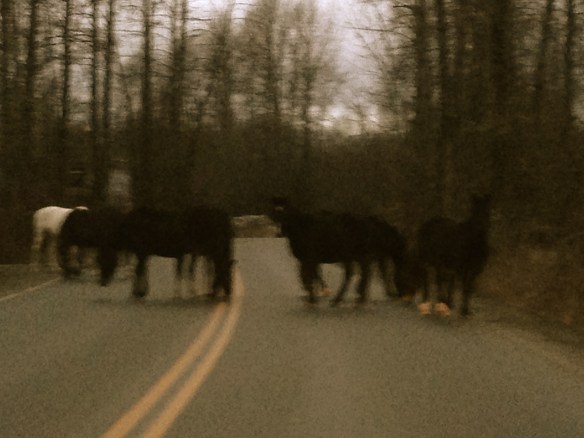 Transformation in Lillooet