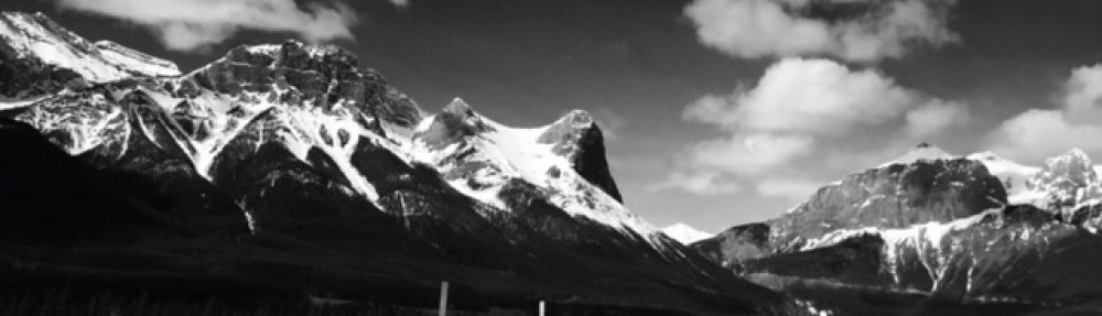 Transforming Social and Economic Development